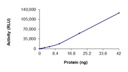 Sino Biological&nbsp;Recombinant Human IRE1 Protein (R727A, GST Tag), Active